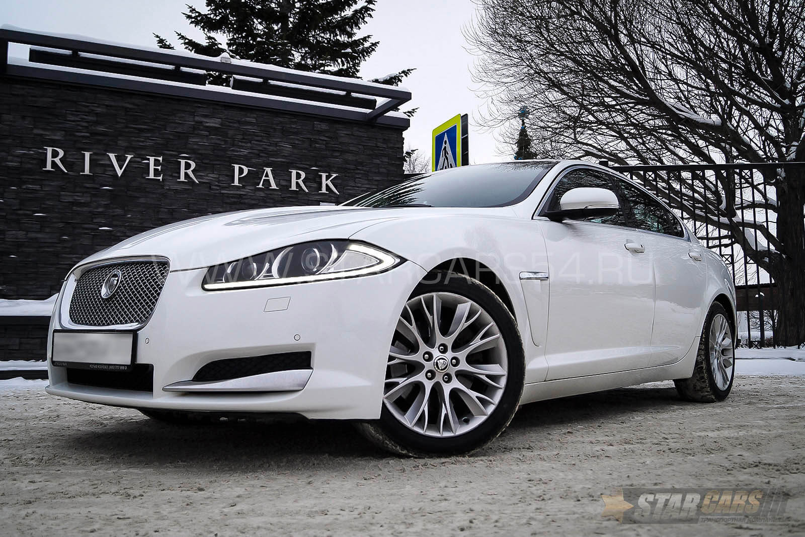 Аренда Jaguar XF (белый) с водителем